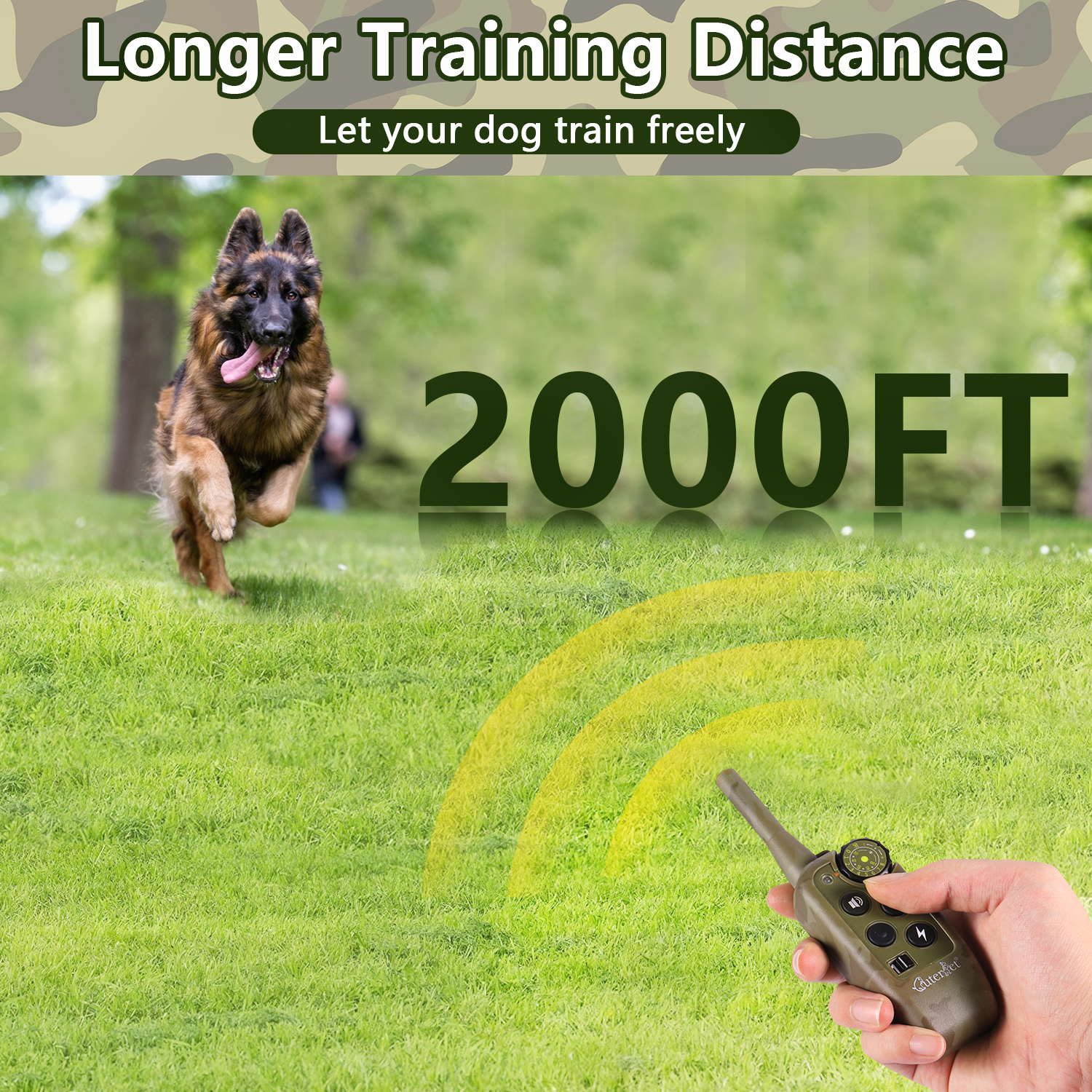 1000m Electric Dog Training Co - مراجعة Hot Dog Press وسعره