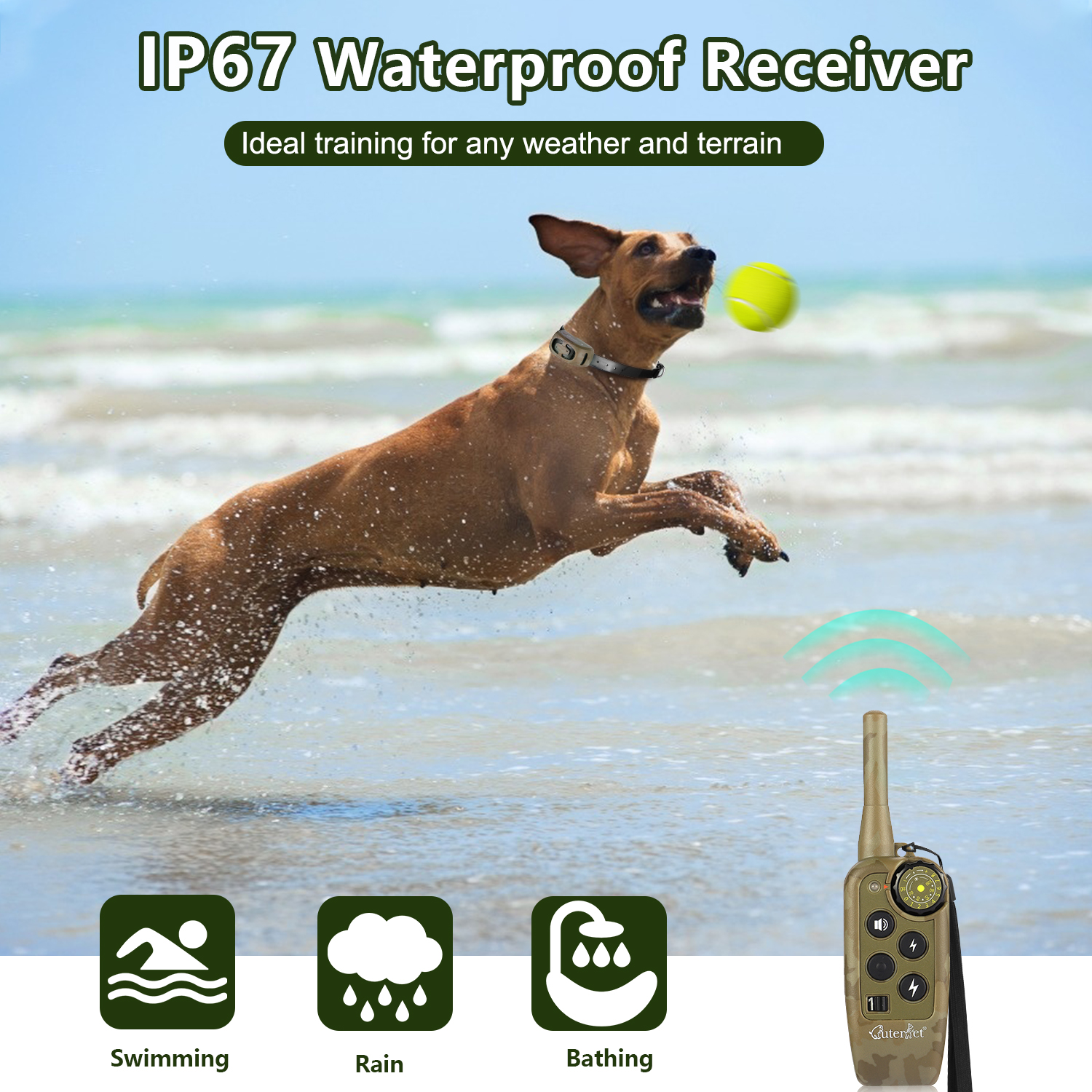 1000m Electric Dog Training Co - مراجعة Hot Dog Press وسعره