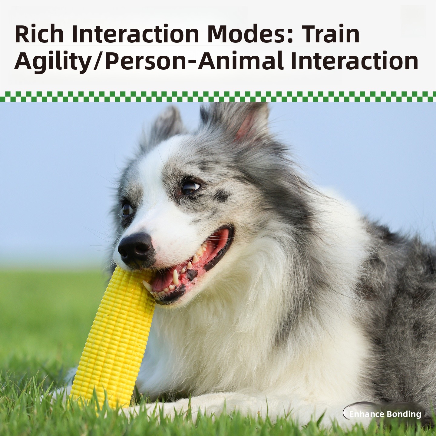 QZee Durable ETPU Corn Dog Toy - مراجعة Corn Dog Stick وسعره