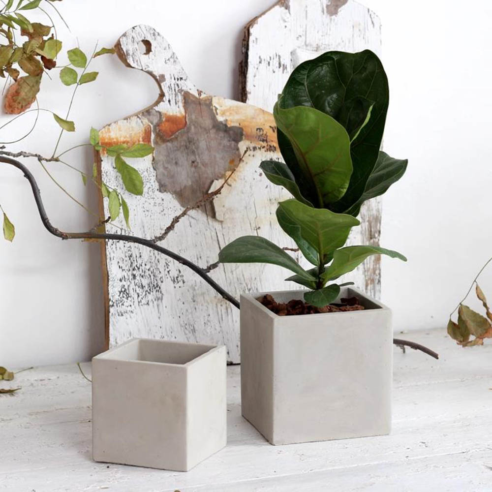 Large Square Flowerpot Silicon - مراجعة Potsticker Mold وسعره