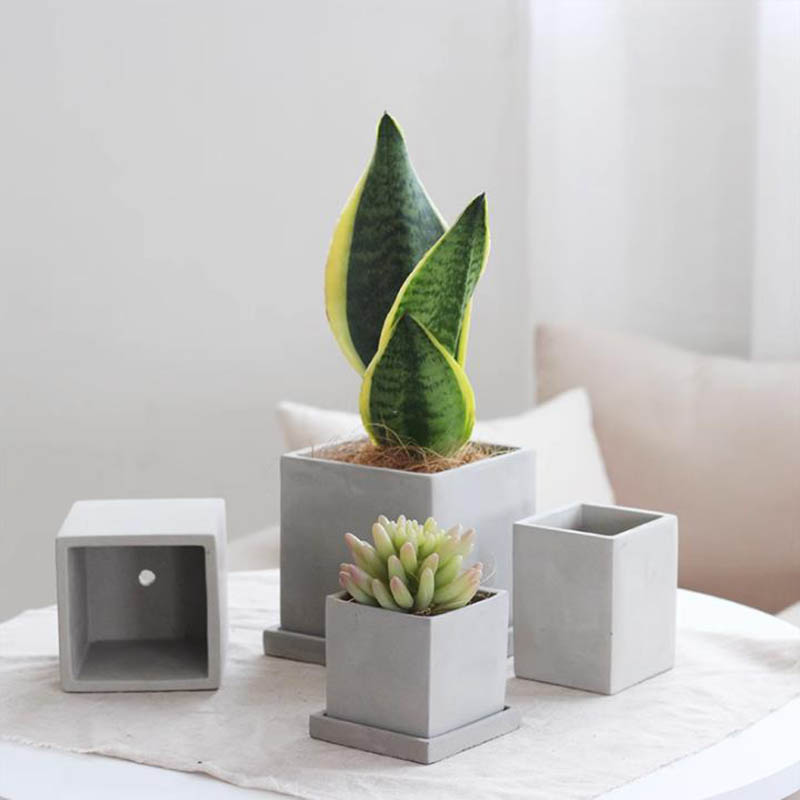 Large Square Flowerpot Silicon - مراجعة Potsticker Mold وسعره