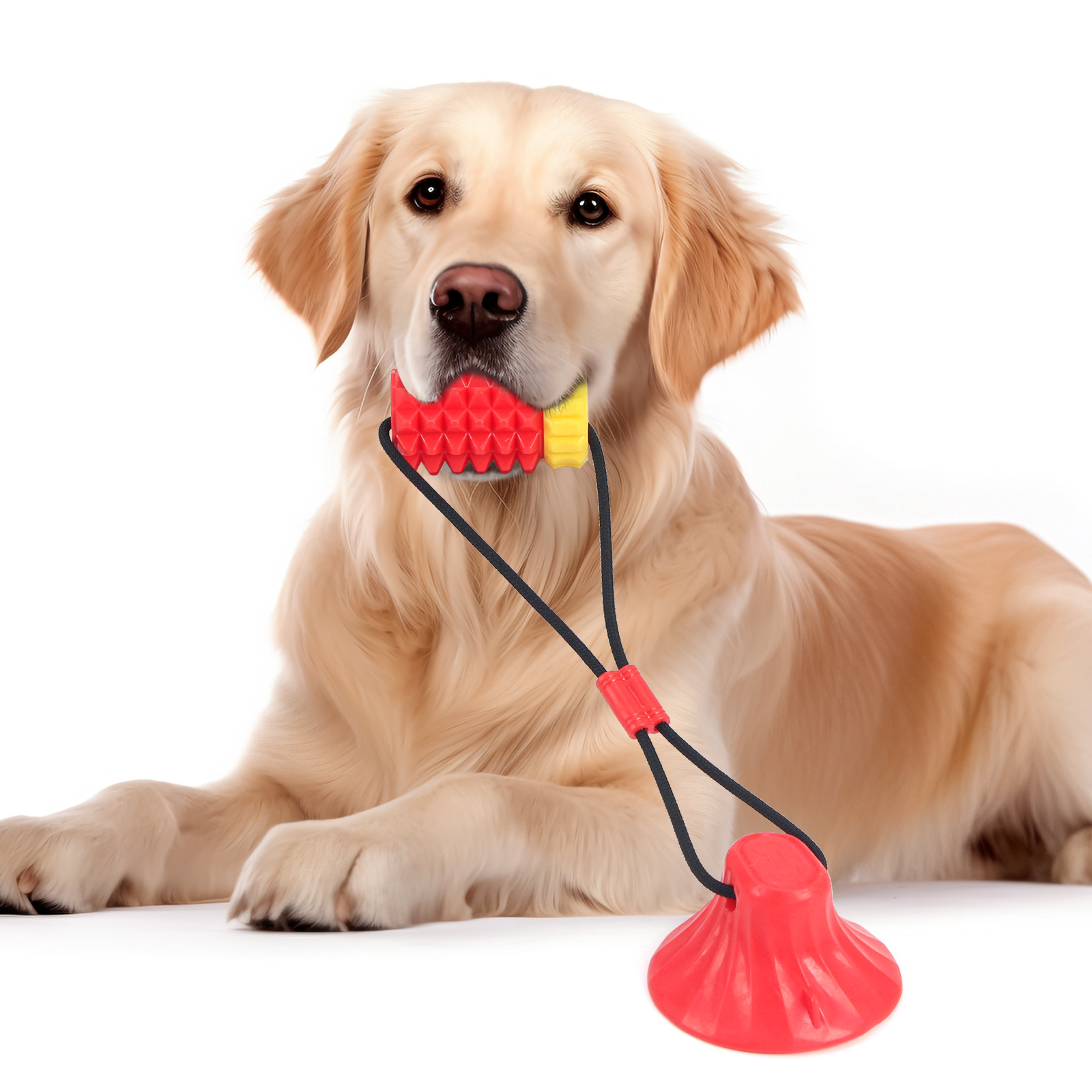 Simulated Corn Cob TPR Dog Toy - مراجعة Corn Dog Stick وسعره