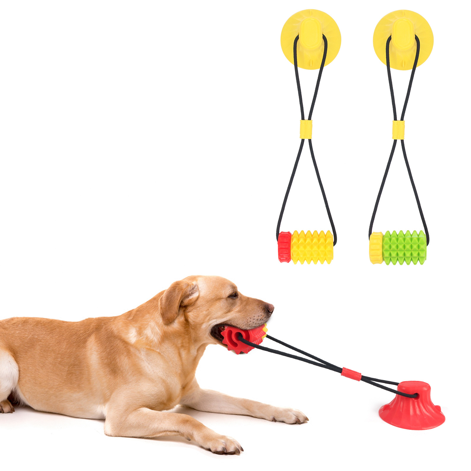 Simulated Corn Cob TPR Dog Toy - مراجعة Corn Dog Stick وسعره