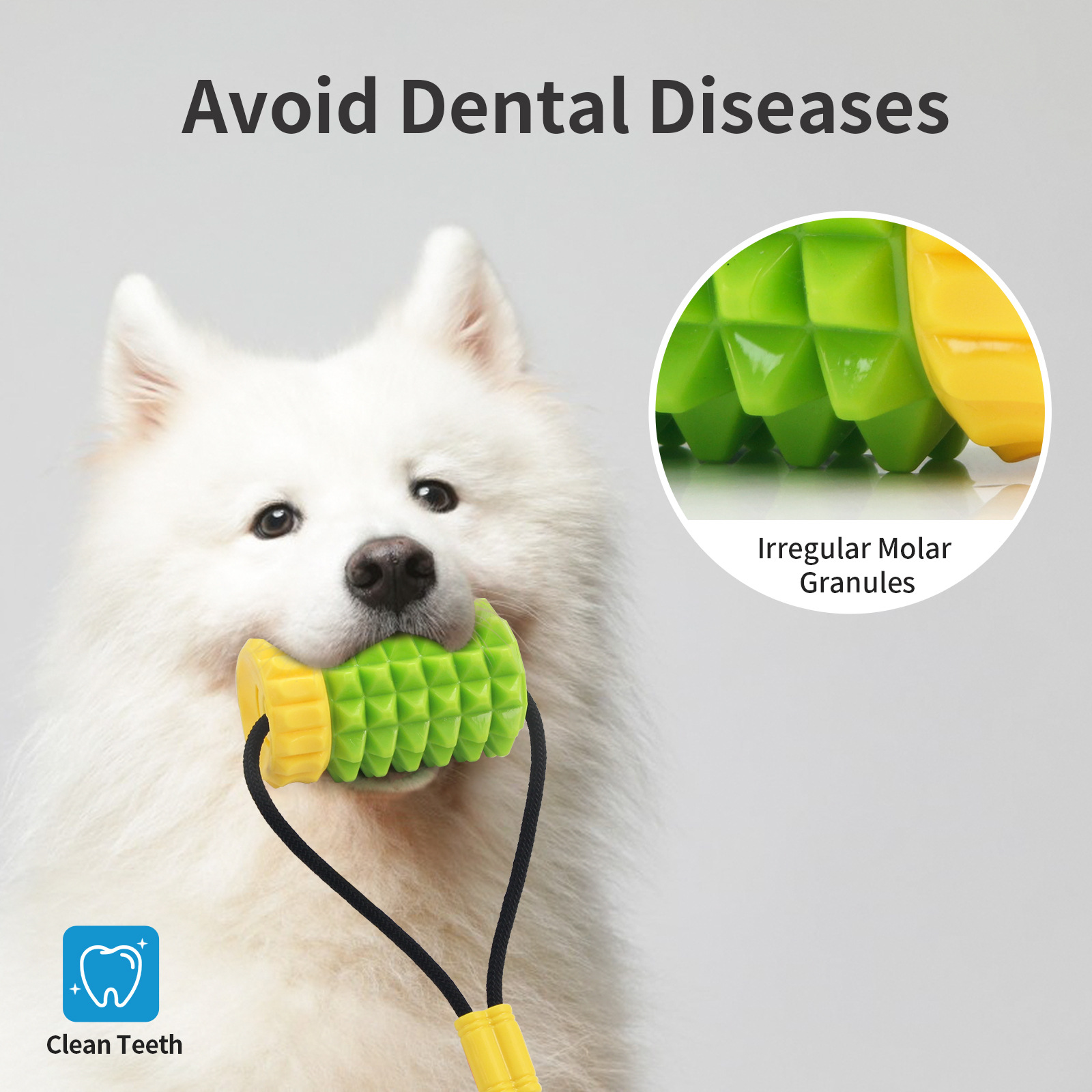 Simulated Corn Cob TPR Dog Toy - مراجعة Corn Dog Stick وسعره