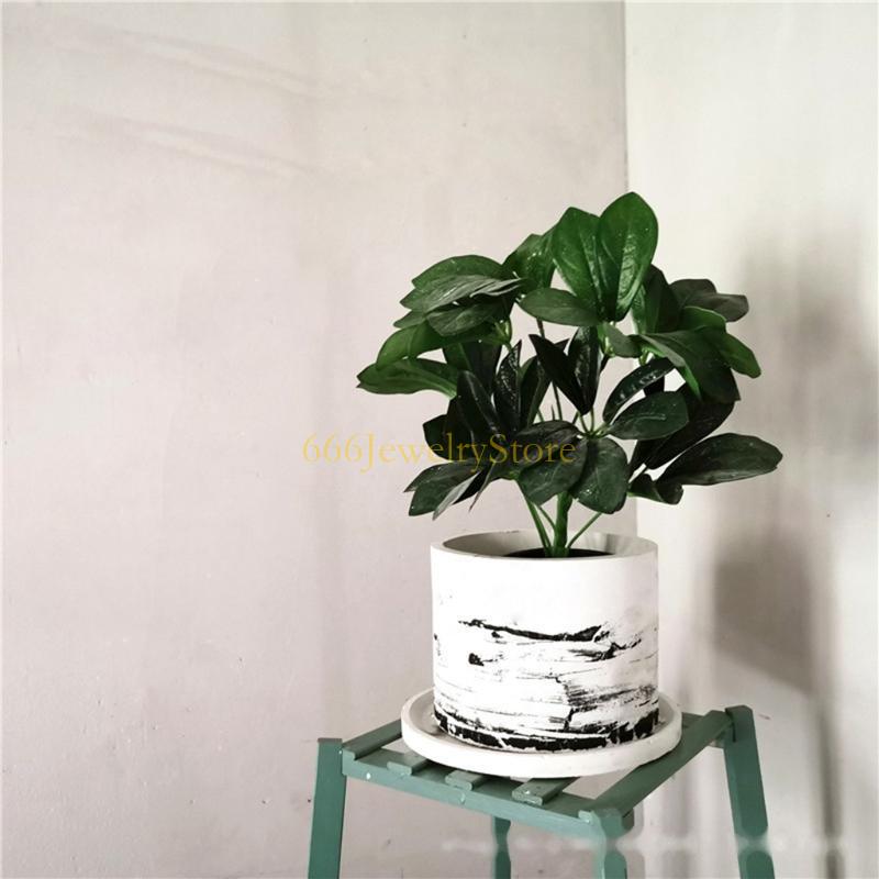 F2TD Large Round Concrete Flow - مراجعة Potsticker Mold وسعره