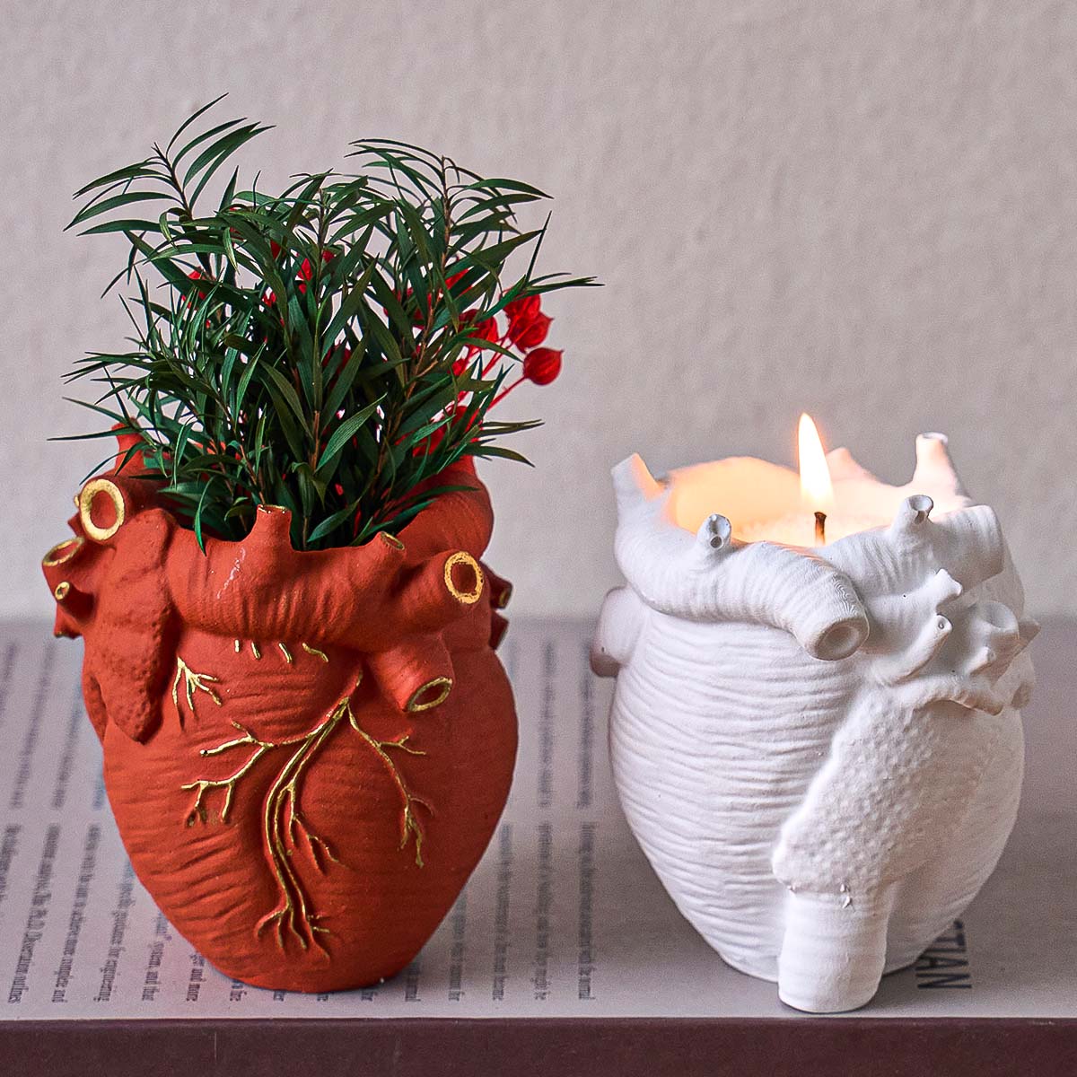 Simulation Heart Vase Silicone - مراجعة Potsticker Mold وسعره
